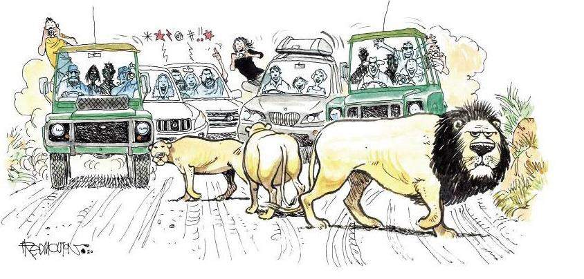 COLUMN: A traffic jam in Etosha