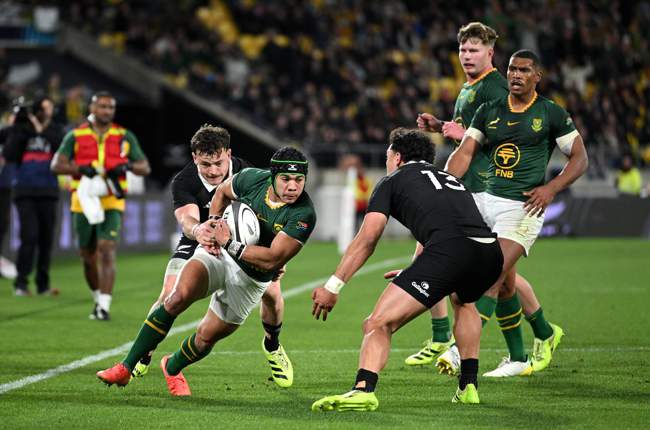 Powerful Springboks turn on the style to hammer shell-shocked All