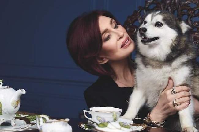Sharon Osbourne loses beloved dog Elvis just months after Ozzy's passing |  News24