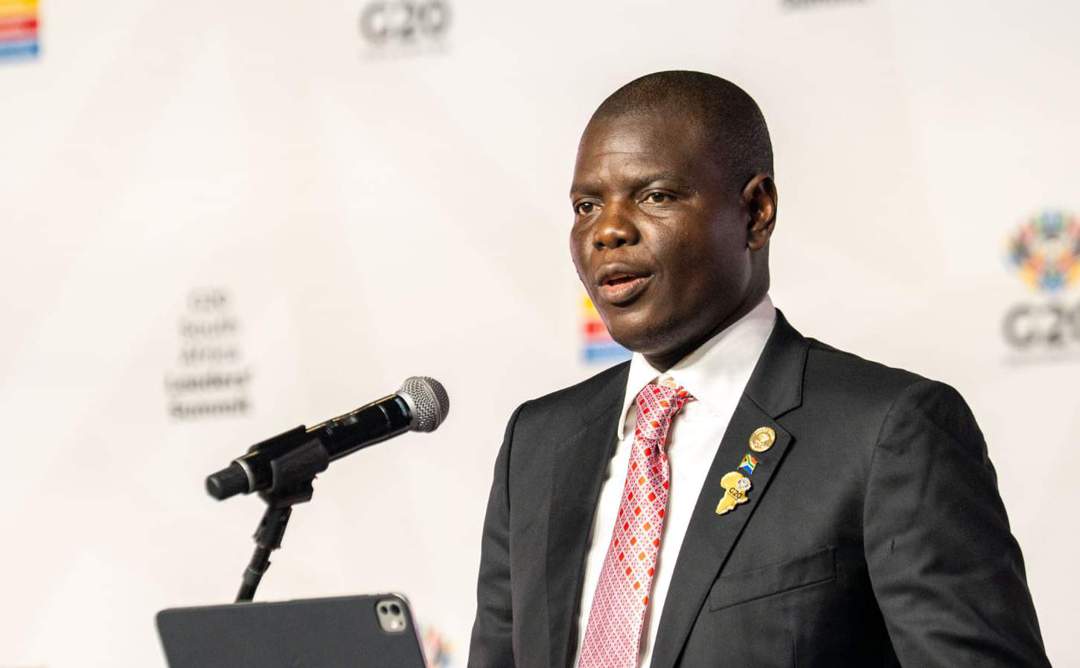 Handwritten visas: SA’s embassies hamstrung by obsolete tech, says Lamola