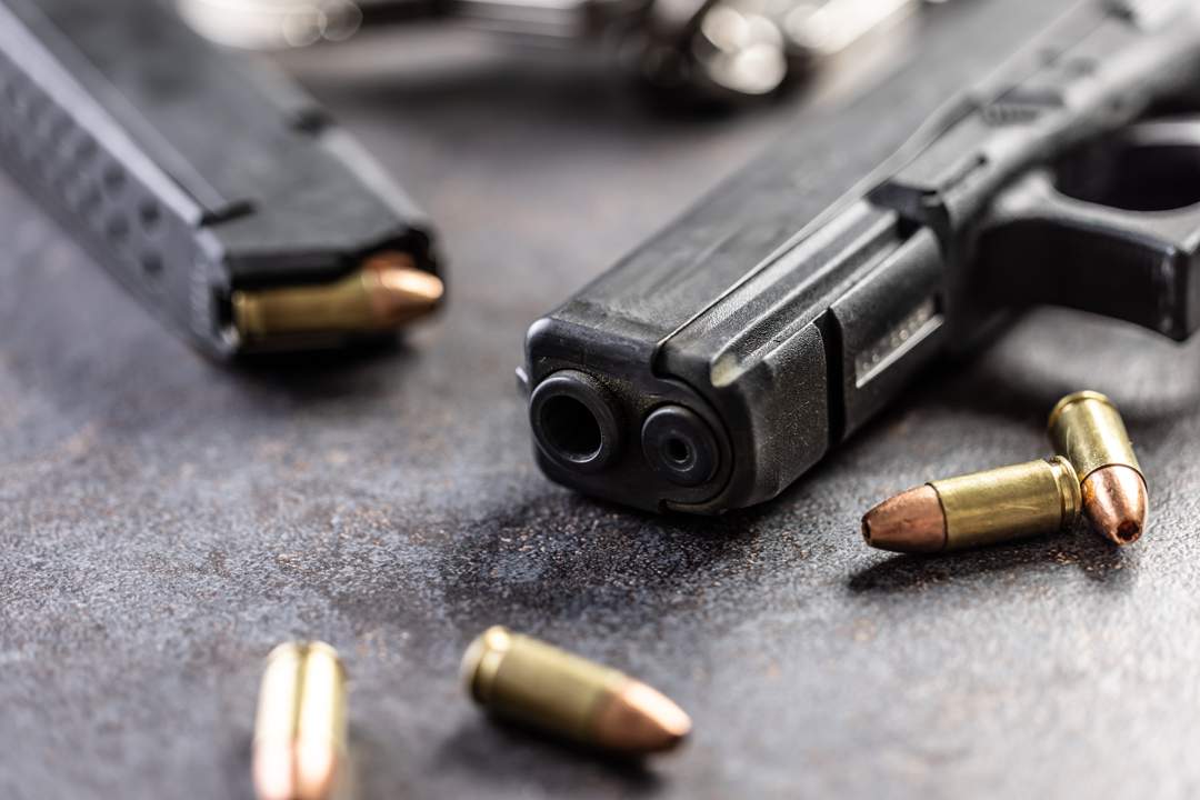 South Africa’s gun relicensing system is collapsing, Gun Free SA warns