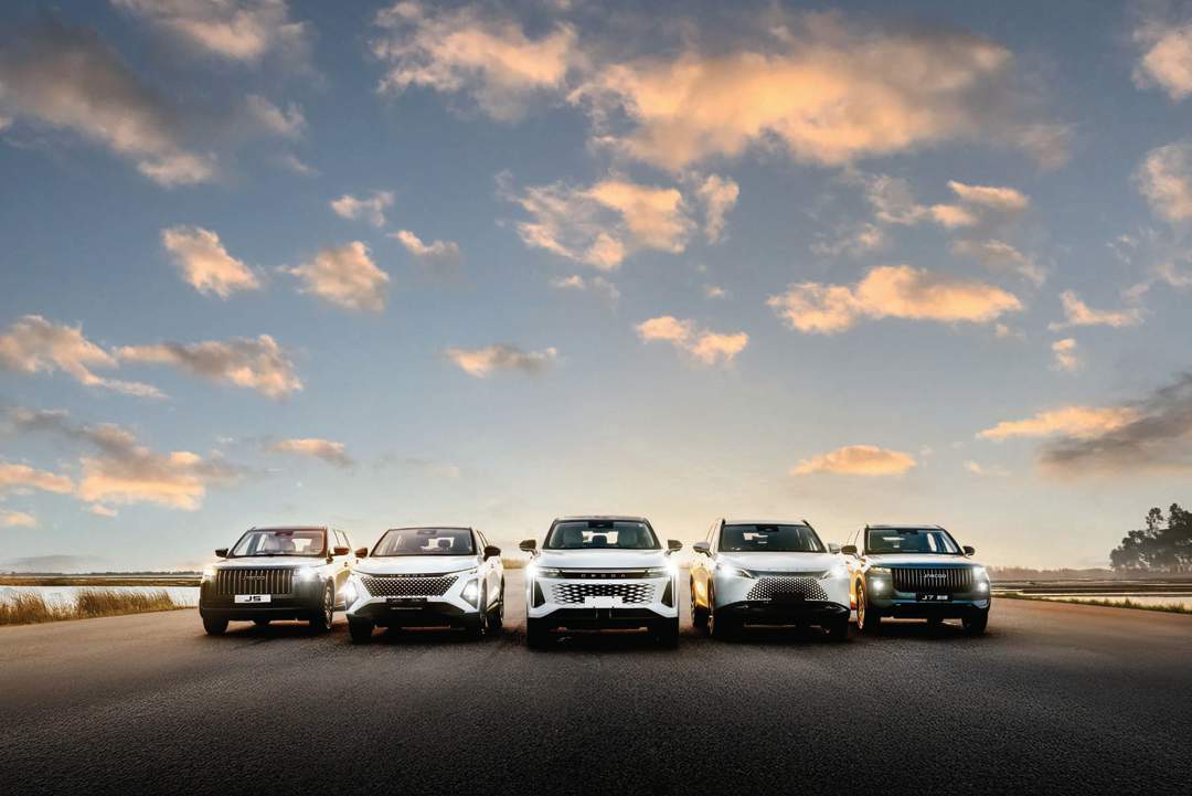 SEE | Here’s how many Chinese passenger cars South Africans bought in May 2026