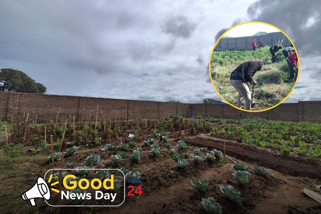 News24 | Empty plots turned into thriving gardens: How a Pretoria project feeds young minds