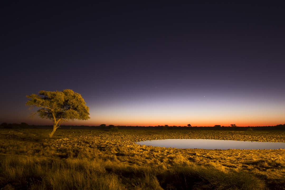 San Tribe Demands Etosha Land Return or R2.8 Trillion Compensation