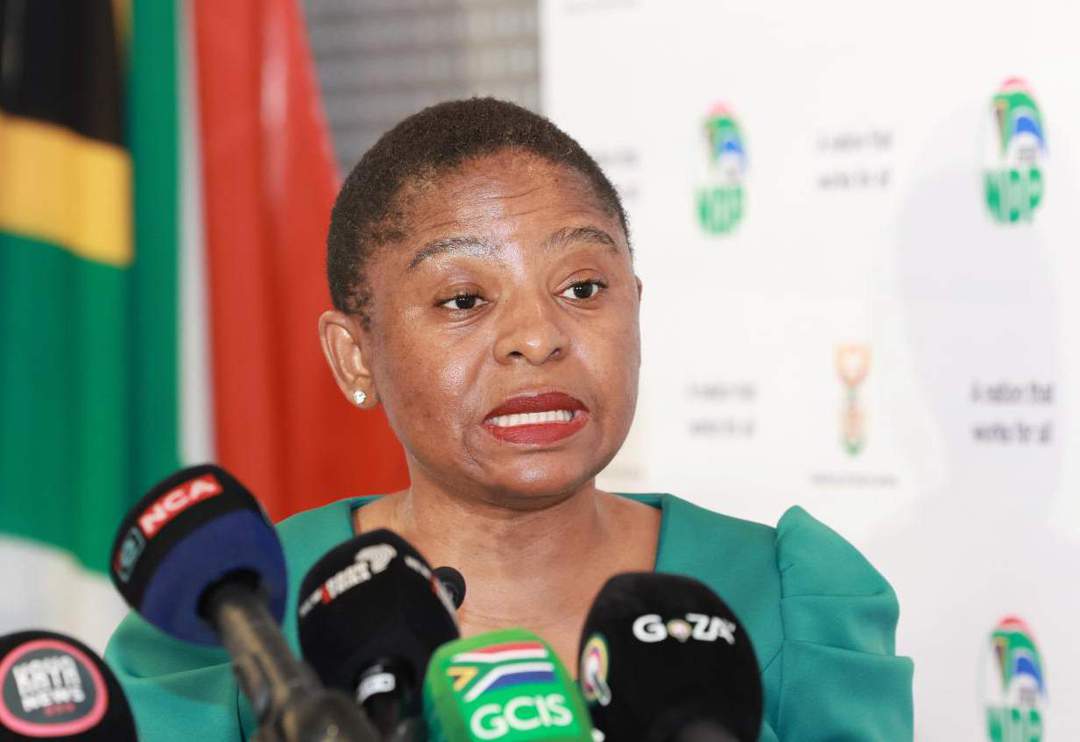 Ntshavheni slams ‘disgraceful' diplomat's ‘middle finger' to SA after Zuma, Guptas meeting