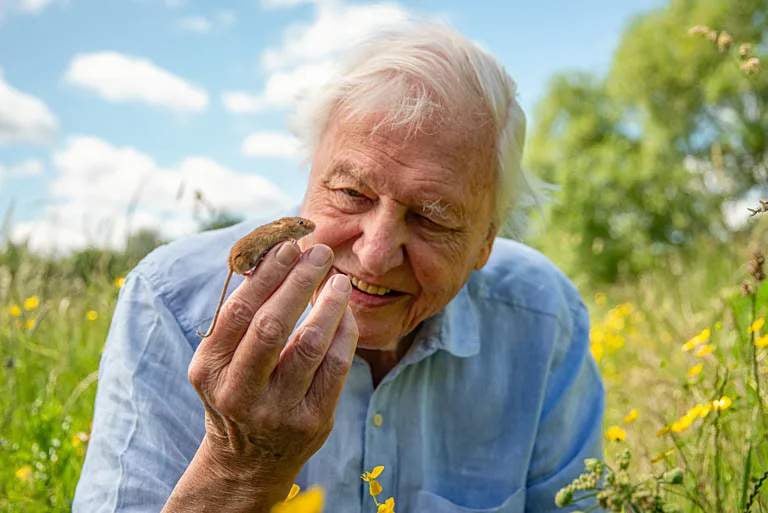 Hidden wildlife: BBC Earth marks Sir David Attenborough's 100th birthday with Wild London