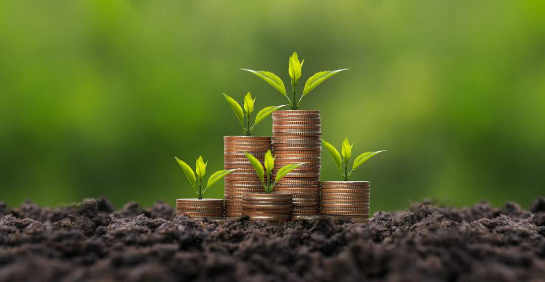 News24 | EXPLAINER | Don’t let past decisions trap your future wealth