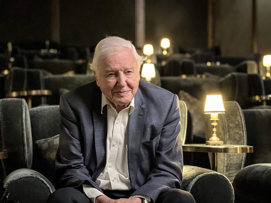 BBC Earth special tells story behind David Attenborough’s breakthrough work: He built the blueprint