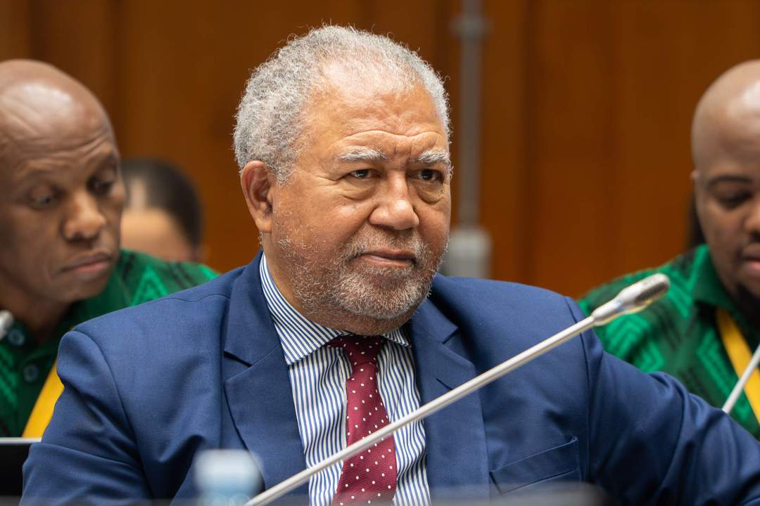 Ad hoc leaders found ‘serious institutional crisis’, cite Ramaphosa’s ‘passive’ oversight
