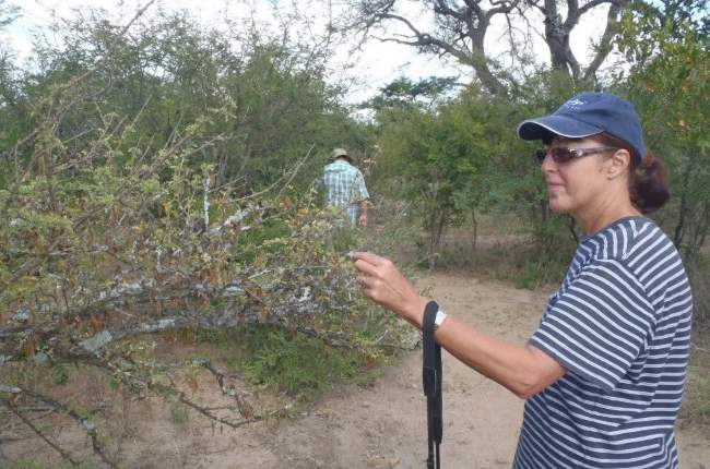 Grief and heartache of the first-ever Kruger National Park murders has  family reeling | News24