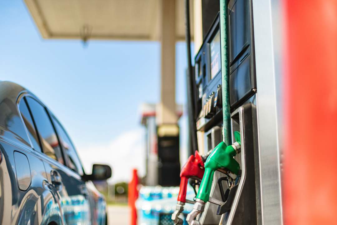 ‘The shock is here': BER data shows how Iran war is hitting SA economy