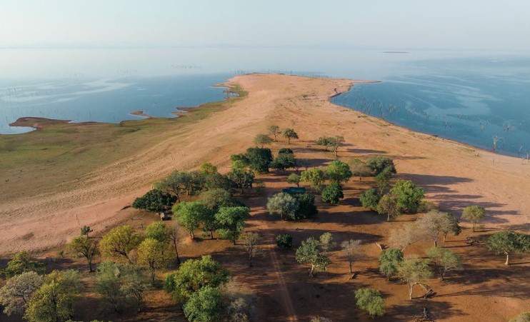 News24 | Rhinos return to billionaire-backed park in Zim after 1990s wipeout