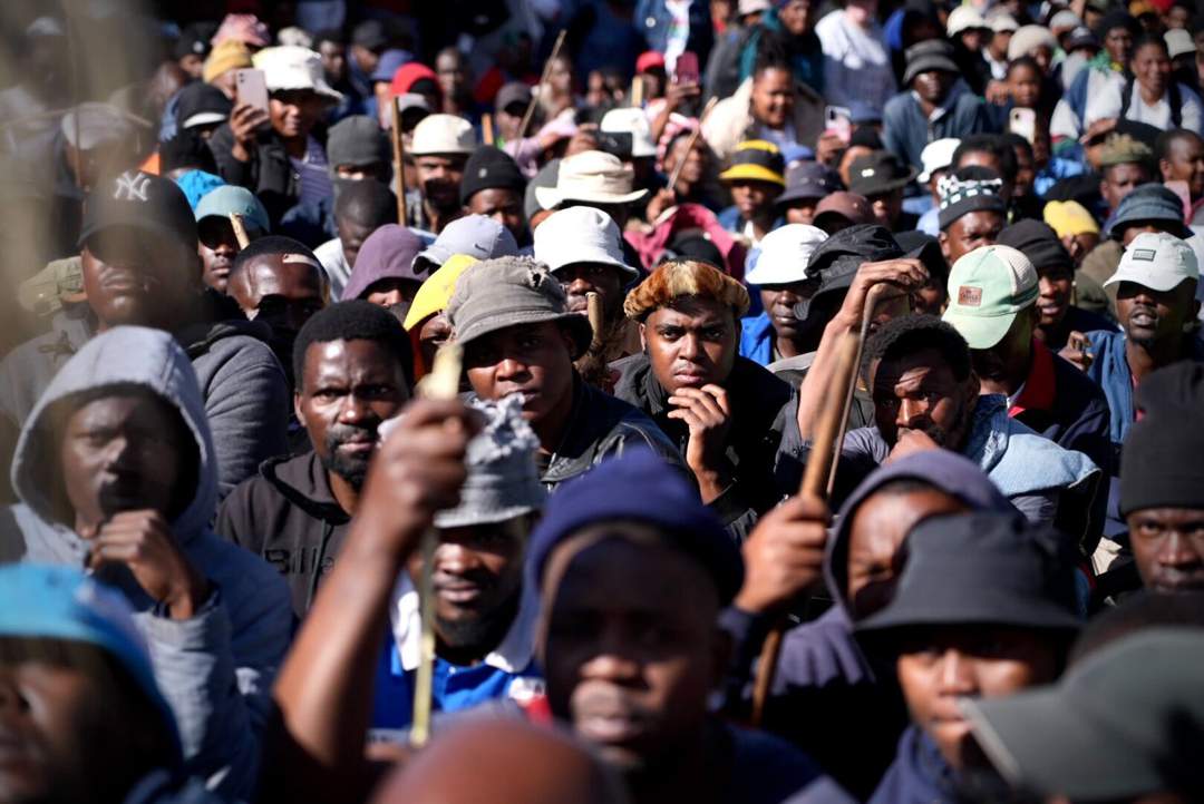 News24 | None of the 268 Nigerians being repatriat