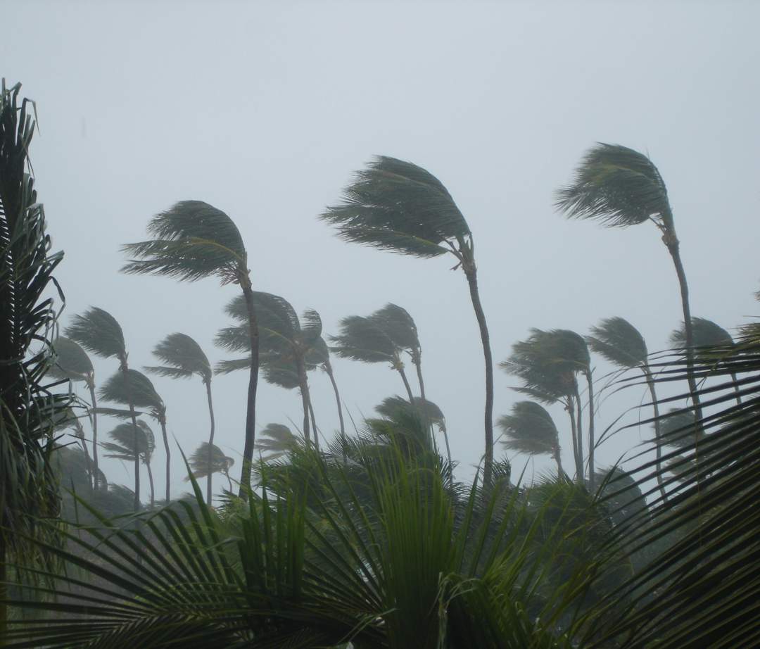 News24 | Central America on alert as Tropical Storm Cristina approaches