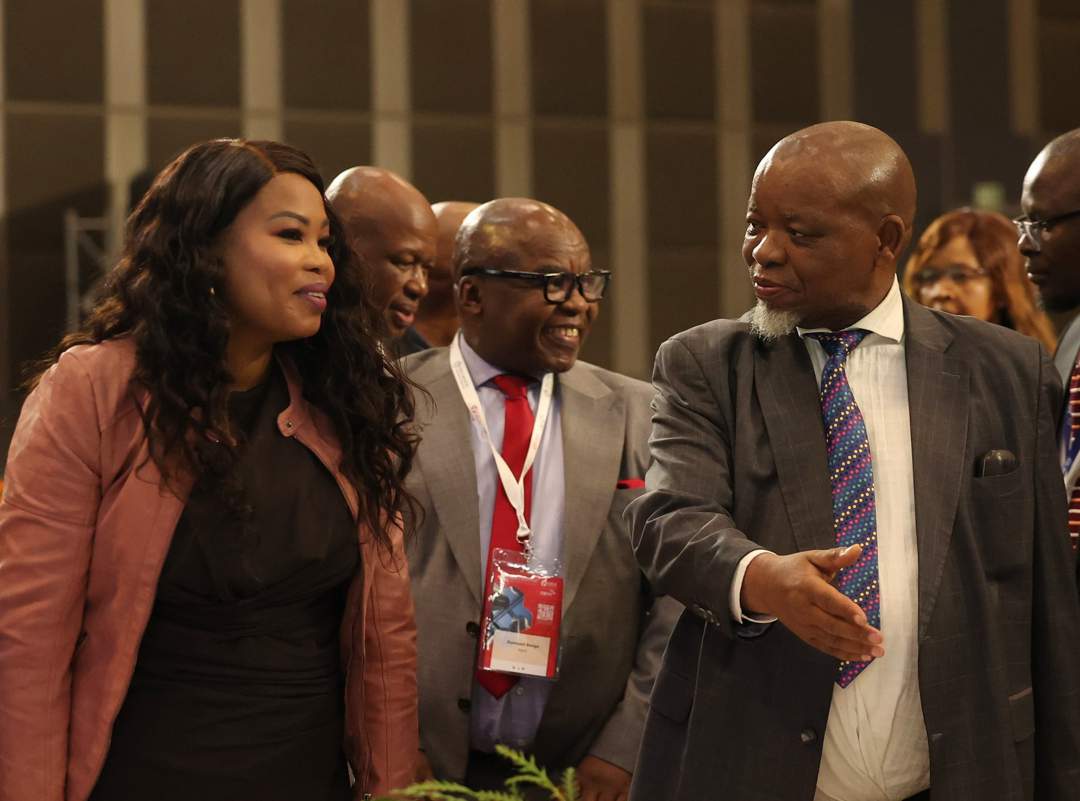 Mantashe targets 60-day emergency fuel stocks after review flags vulnerabilities