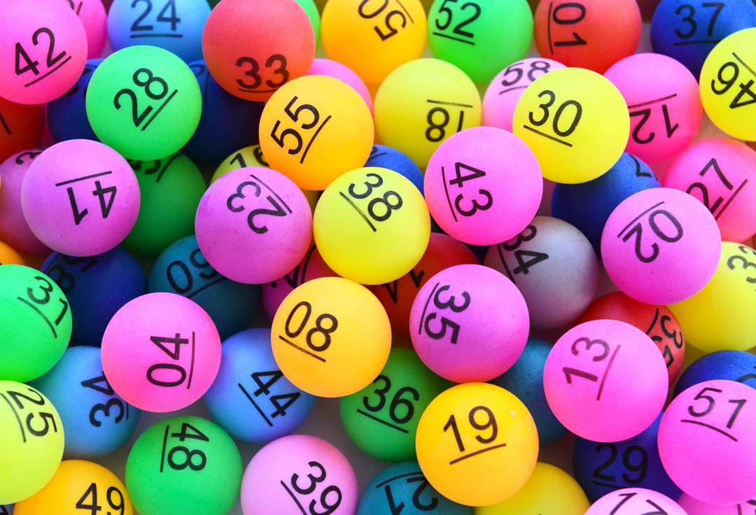 News24 | Here are the Daily Lotto results