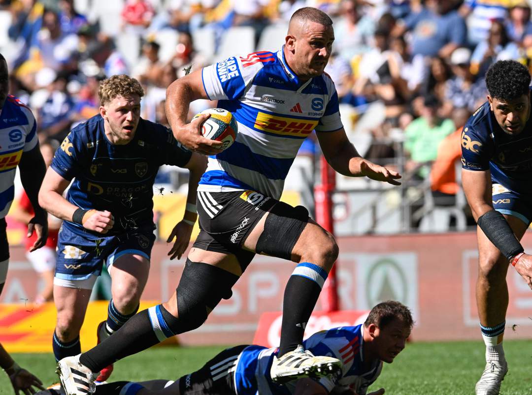 News24 | Stormers lock enforcer drafted into Springbok squad