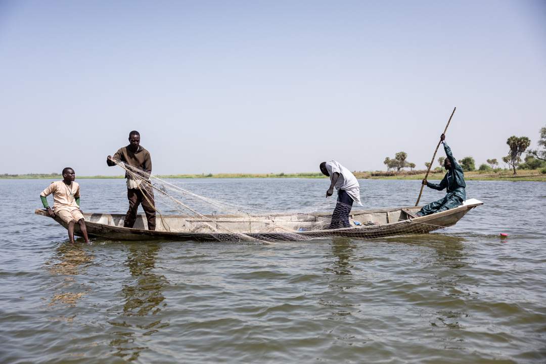 News24 | ANALYSIS | ISWAP’s next frontier: Darak in northern Cameroon