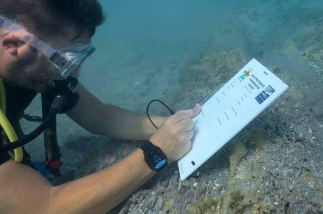 Meet the Canadian marine archaeologist tracking the real pirates of the Caribbean