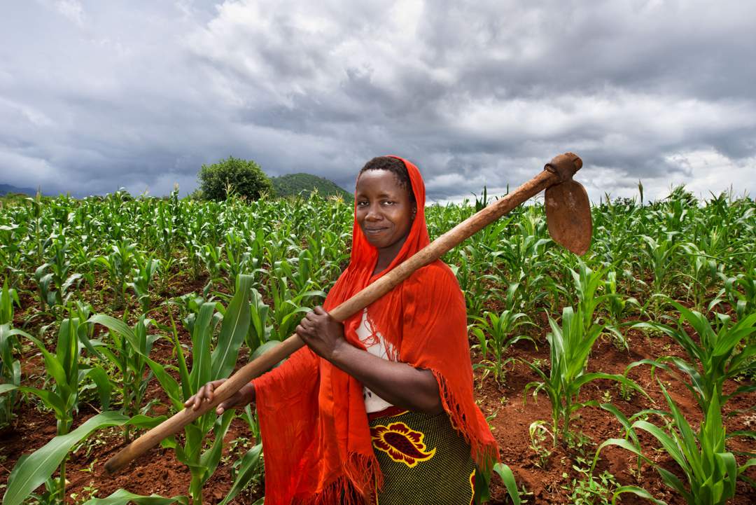 News24 | ANALYSIS | Will global turmoil push Africa’s leaders to prioritise agriculture?