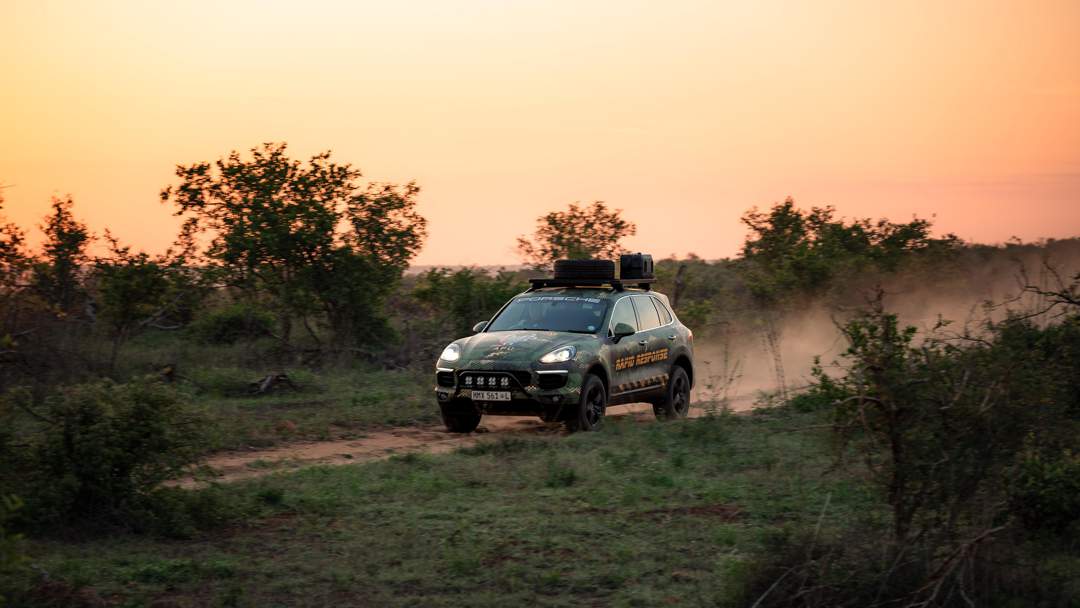 Porsche goes wild to lend Black Mambas a helping hand protecting SA's rhinos