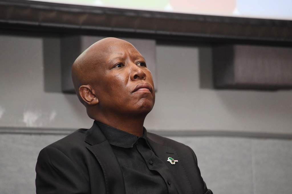 Liberté économique à vendre : le paradoxe Malema
