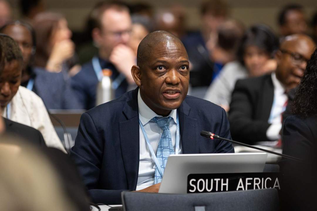 ‘You are on your own': SA's climate envoy warns of mounting dangers if Bonn talks fail