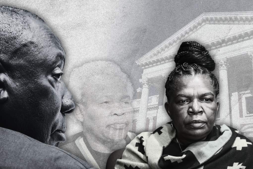ANALYSIS | Ramaphosa's ministers of social development in rogues' league of their own