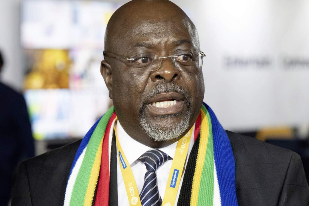 Blurred lines: DA, EFF sneak party colours into government media