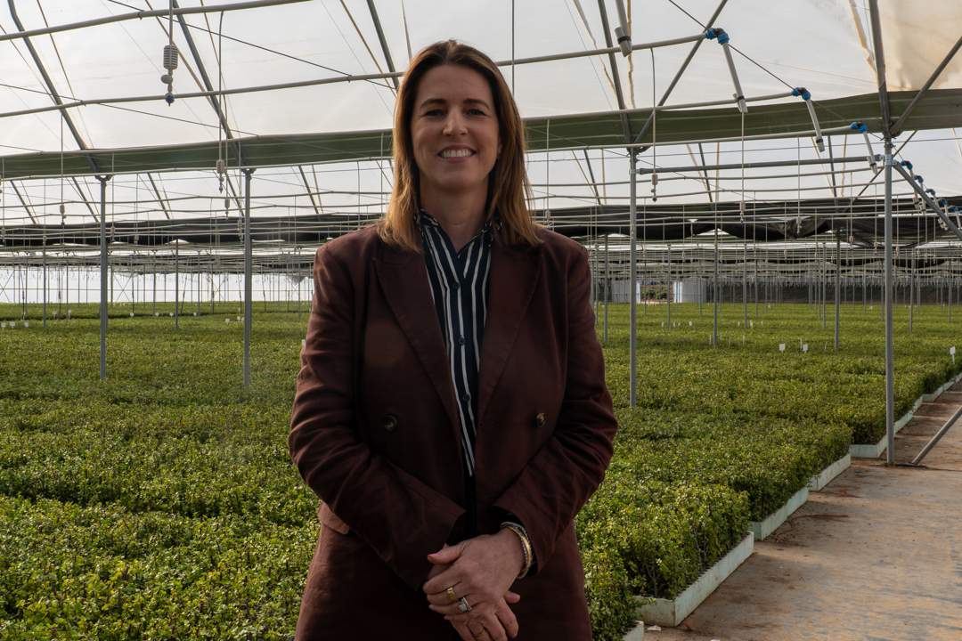 Interview: Amazon exec on data centres in water-scarce SA