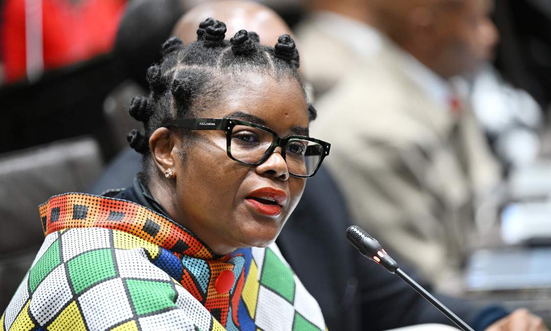 Former minister Nobuhle Nkabane elected acting agriculture commitee chair