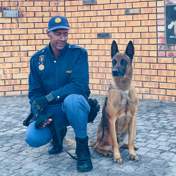 Meet Arkus: Newest 4-legged officer continues slain Floppy’s legacy
