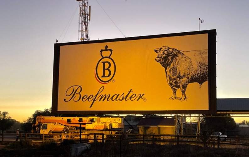 New FMD rules a ‘game changer’ for SA cattle industry, says Beefmaster