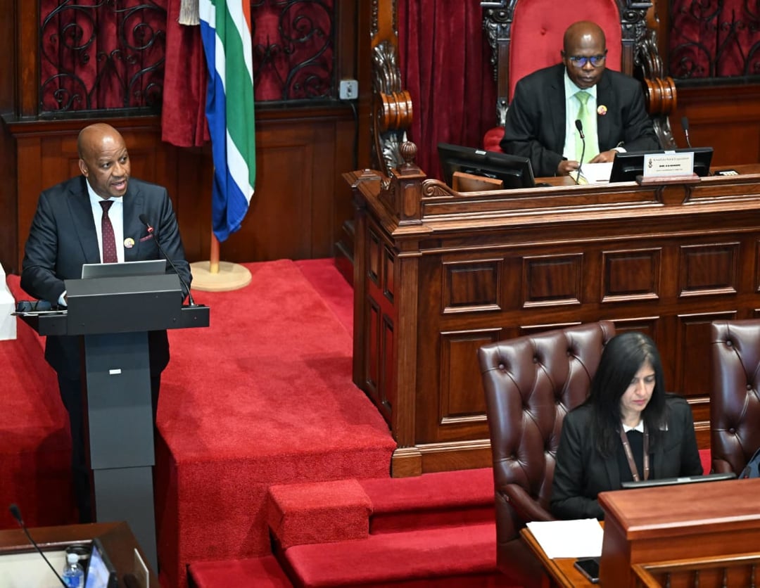 KZN premier increases budget for Zulu monarchy to help make it self-sustaining