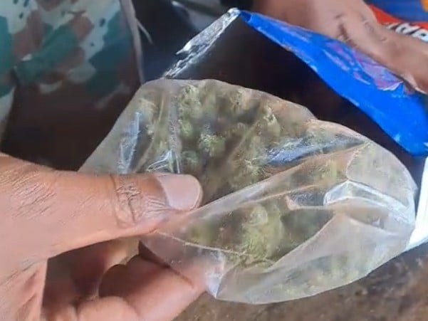 Dagga in the chips: Military police pounce on care packages for soldiers - News24 - News Directory 3