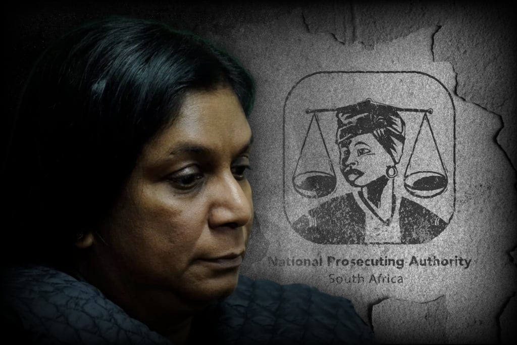 Adriaan Basson | Criminals, ANC rogues will rejoice at IDAC assault
